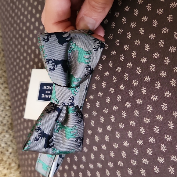 Janie and Jack Accessories Nwt Janie And Jack Bowtie Poshmark